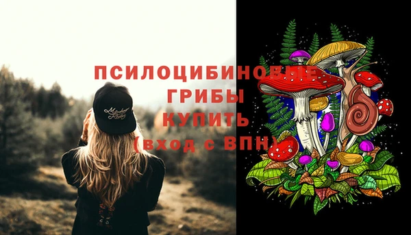 дурь Армянск